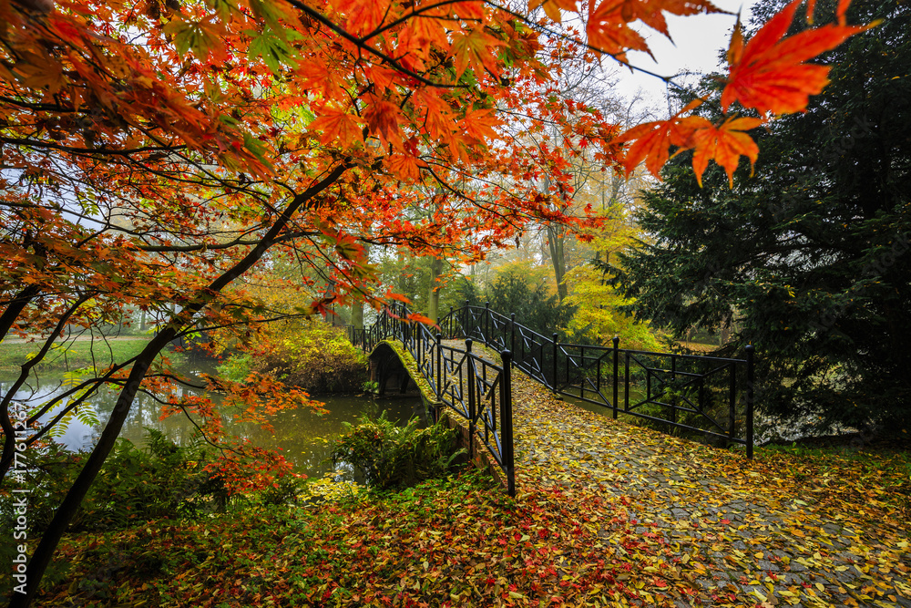 Poster scenic view of misty autumn landscape with beautiful old bridge in the garden with red maple foliage