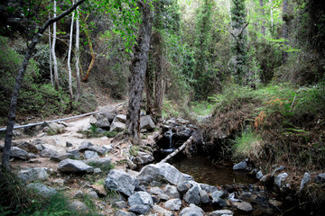 A hiking trek to Caledonia waterfall along a small river stream, near Platres, Cyprus - obrazy, fototapety, plakaty