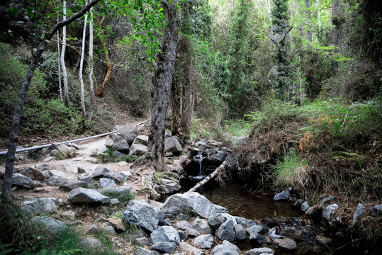 A hiking trek to Caledonia waterfall along a small river stream, near Platres, Cyprus