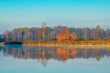 Beautiful autumn landscape. Colorful trees by the lake.