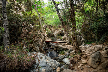 A small bridge crossing over a stream on a hiking trek to Caledonia waterfall near Platres, Cyprus - obrazy, fototapety, plakaty