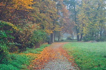 Beautiful autumn nature. Walkway with autumn colored leaves in the park.
