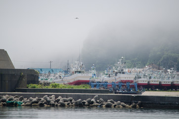 Fototapeta na wymiar 港の風景
