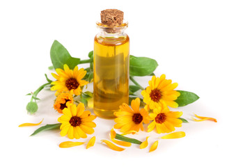 aromatherapy essential oil with marigold flowers isolated white background