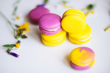 Morning cup of coffee, cake macaron and flower on light background from above. Beautiful breakfast. Flat lay style.