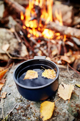 Mug of hot tea is autumn in a forest in Golden yellow foliage. Autumn came, magical mood. Yellow leaves floating in the tea