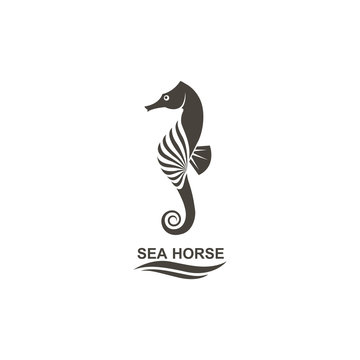 icon of seahorse on isolated white background