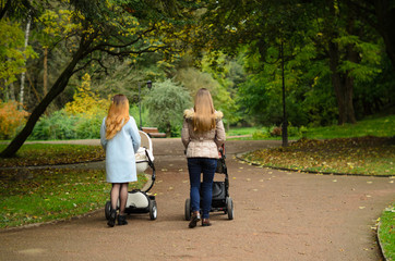 Two happy mothers with their baby strollers walking together in park. Motherhood