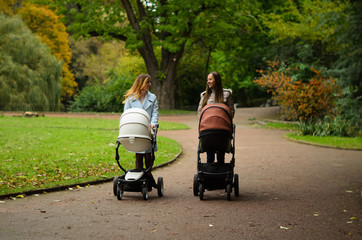 Two happy mothers with their baby strollers walking together in park. Motherhood
