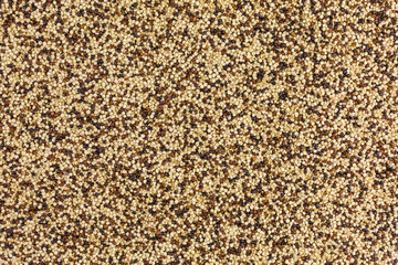 background of white and brown quinoa seeds