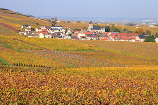 Champagne, village de Oger en automne