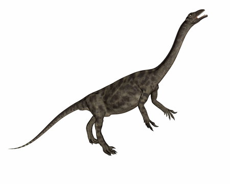 Anchisaurus dinosaur -3D render