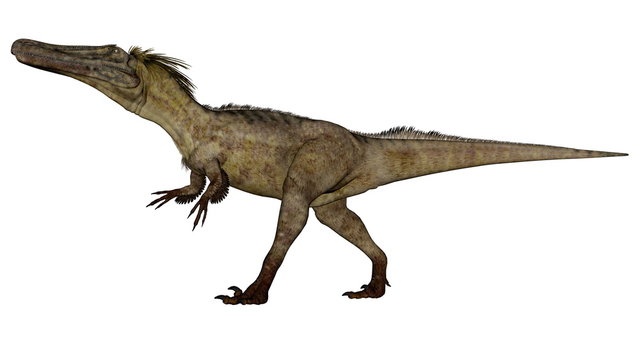 Austroraptor dinosaur -3D render
