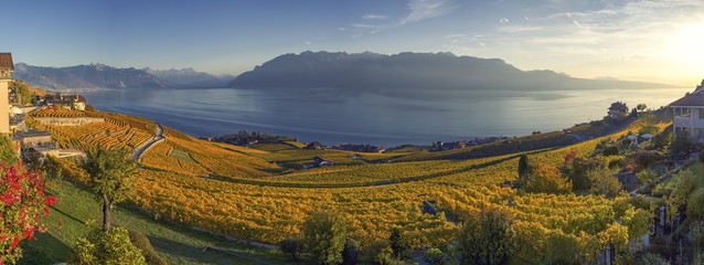 Panorama on Lavaux region, Vaud, Switzerland