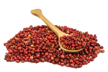 brazilian rose pepper - schinus terebinthifolia