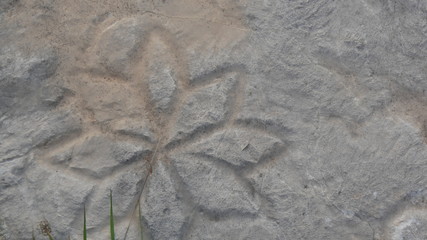 Incisioni su antiche lapidi in un cimitero misterioso in Bosnia Herzegovina sui Balcani