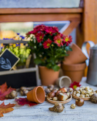 Flower bulbs and garden accessories for planting in the ground. 
