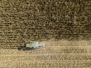 Fototapeta na wymiar Mietitrebbia che raccoglie la semina dai campi, vista aerea di un campo con una mietitrebbia con spannocchiatrice che raccoglie il raccolto. Pannocchie, trebbiatura del mais