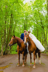 Beautiful newlyweds riding two horses