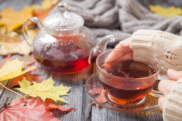 Autumn Still Life: Tea on maple leaves on a wooden table
