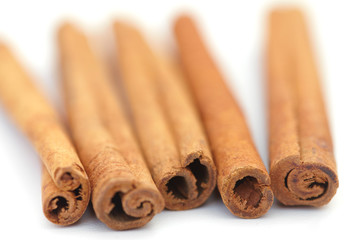 Cinnamon on white background