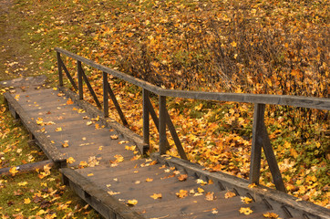 Autumn wooden staircase with fallen maple leaves in the countryside