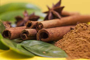 cinnamon stick and star anise