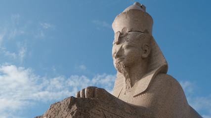 Fototapeta na wymiar Egyptian stone sphinx and a clouds - St. Petersburg, Russia