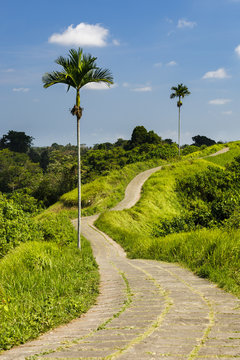 Wandern in Bali - Ubud - Campuhan Ridge Walk mit blauem Himmel