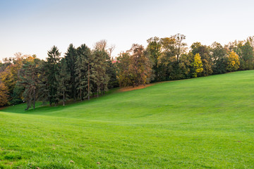 Fototapeta na wymiar Hilly landscape with green lawn bordered with trees with foliage in autumn 