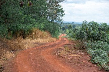 Fototapeta premium dirt dust road