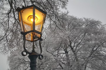Straßenlaterne mit verschneiten Bäumen im Winter