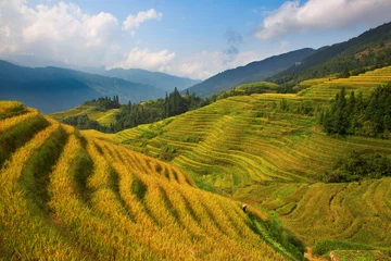 Fototapete Rund Longji Rice Terraces © swisshippo