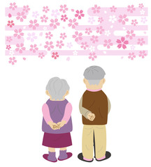 高齢者男女　後ろ姿　桜　春