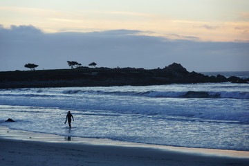 Evening Surfer