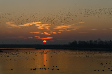 sunrise on the coast