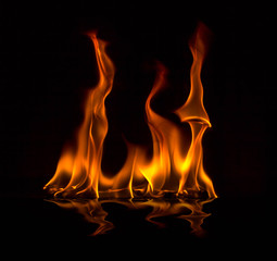 fire flame with sparks on a black background