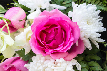 Natural roses background