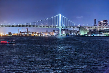 Obraz premium 東京の夜景