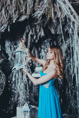 The girl in the dress celebrates new year/Christmas