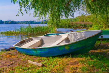 Old wooden boat on the shore a background of green trees