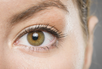 Obraz premium oko makro