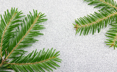 Fir tree branches on sparkling background