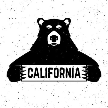 Bear with california sign.