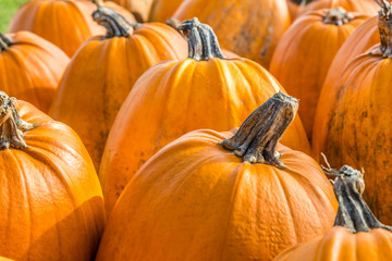 Orange pumpkins