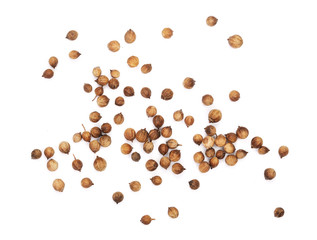 Coriander seeds isolated on white background top view