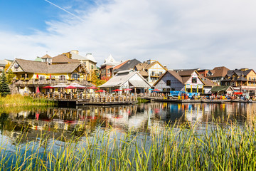 Buildings reflection on water with a grass in the foreground 