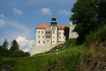 Fototapeta na wymiar Pieskowa Skala - Castle in Poland