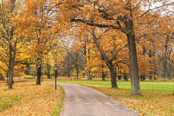 Fototapeta na wymiar Autumn in Alexandria park, Peterhof