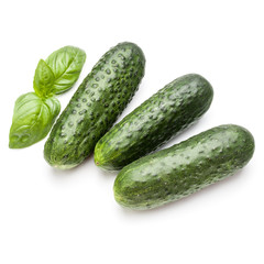 Cucumber vegetable and basil leaves isolated on white background cutout